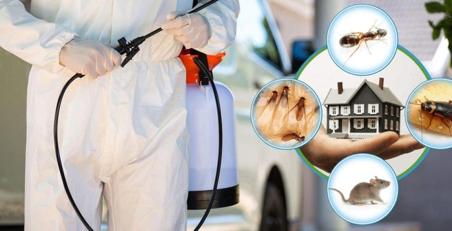 Güçlükonak Böcek İlaçlama