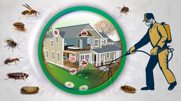 Güçlükonak Böcek İlaçlama