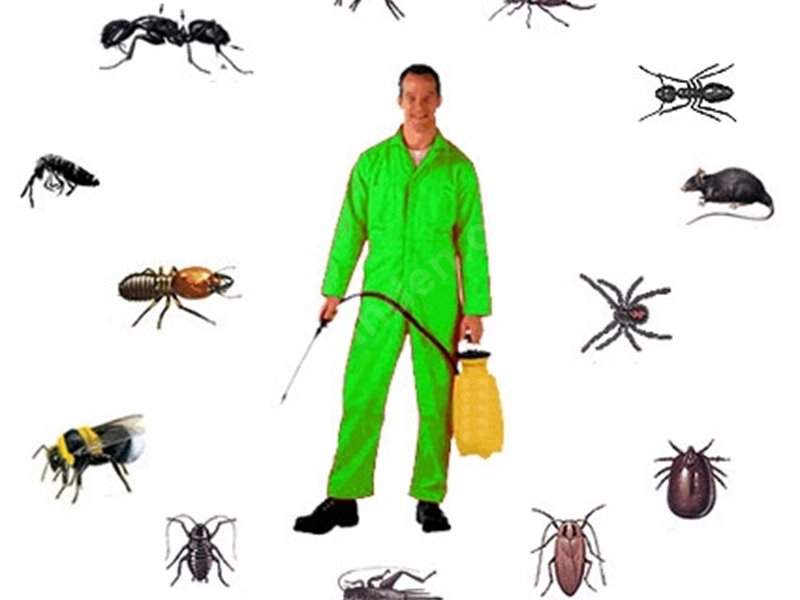 Güçlükonak Böcek İlaçlama